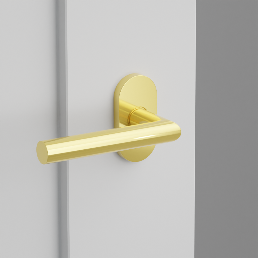 Exterior render - cgrender/InteriorPassagePrivacyDummy/default/h.lever_STU.finish_US3NL/r.rosette_dummy_5803.finish_US3NL.png