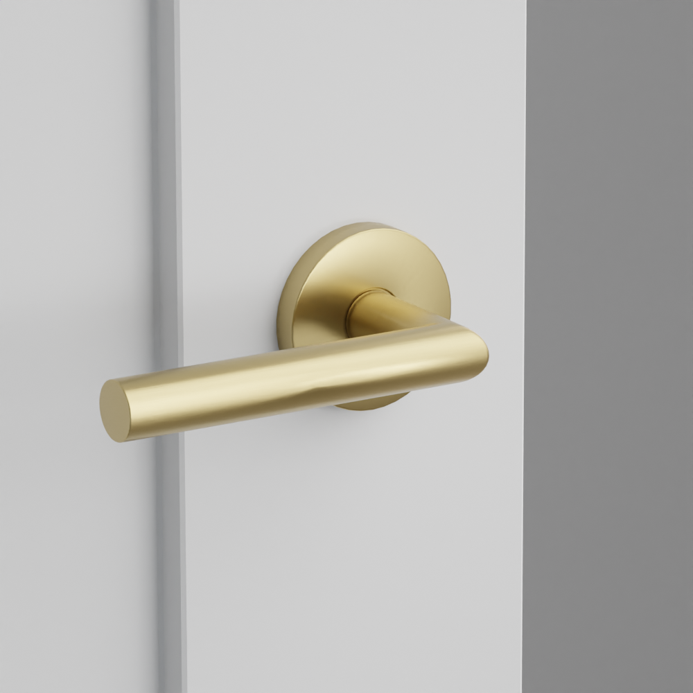 Exterior render - cgrender/InteriorPassagePrivacyDummy/default/h.lever_STU.finish_US4/r.rosette_dummy_5059.finish_US4.png