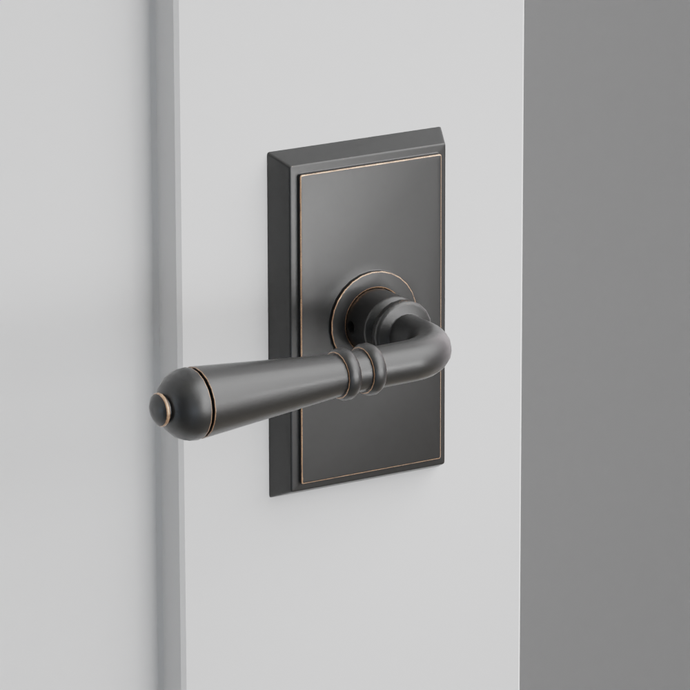 Exterior render - cgrender/InteriorPassagePrivacyDummy/default/h.lever_T.finish_US10B/r.rosette_dummy_8521.finish_US10B.png