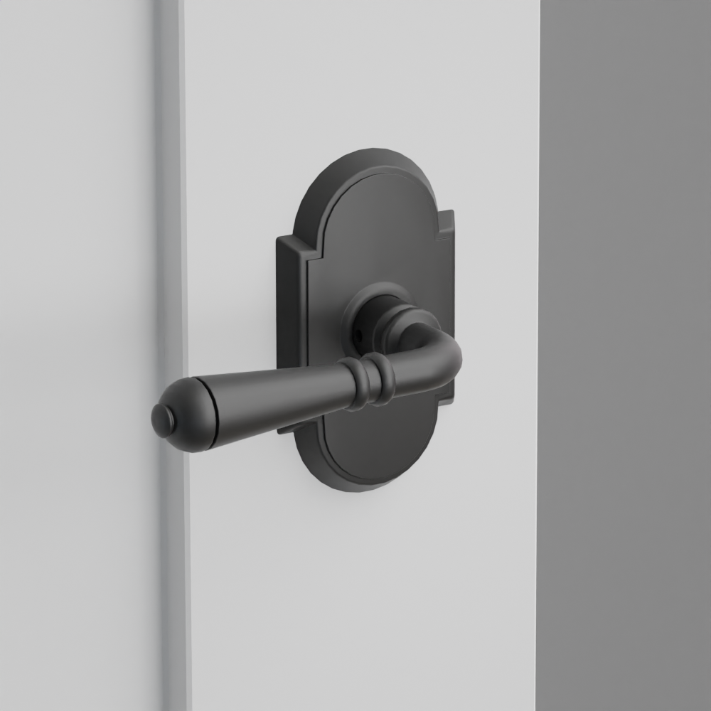 Exterior render - cgrender/InteriorPassagePrivacyDummy/default/h.lever_T.finish_US19/r.rosette_dummy_8058.finish_US19.png