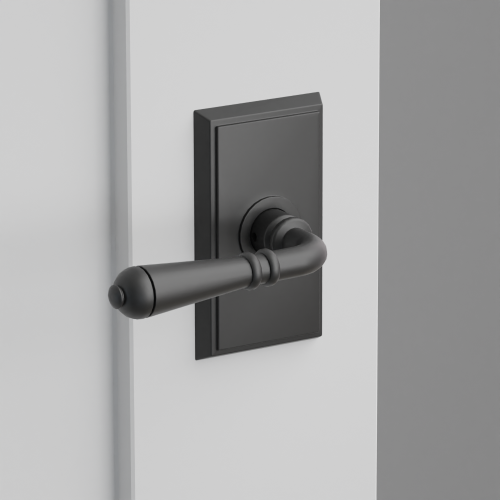 Exterior render - cgrender/InteriorPassagePrivacyDummy/default/h.lever_T.finish_US19/r.rosette_dummy_8521.finish_US19.png