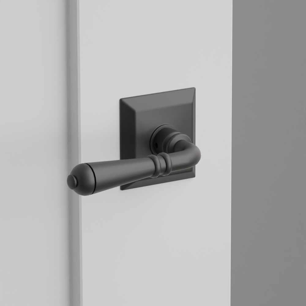 Exterior render - cgrender/InteriorPassagePrivacyDummy/default/h.lever_T.finish_US19/r.rosette_dummy_8531.finish_US19.png