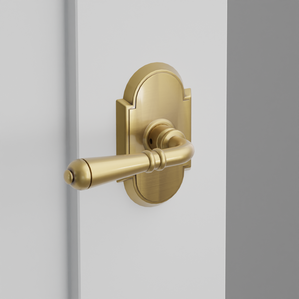 Exterior render - cgrender/InteriorPassagePrivacyDummy/default/h.lever_T.finish_US7/r.rosette_dummy_8058.finish_US7.png