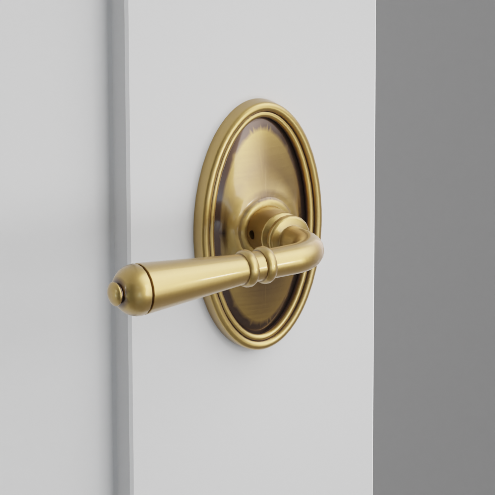 Exterior render - cgrender/InteriorPassagePrivacyDummy/default/h.lever_T.finish_US7/r.rosette_dummy_8520.finish_US7.png