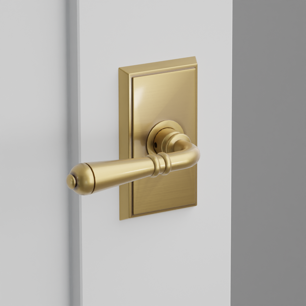 Exterior render - cgrender/InteriorPassagePrivacyDummy/default/h.lever_T.finish_US7/r.rosette_dummy_8521.finish_US7.png