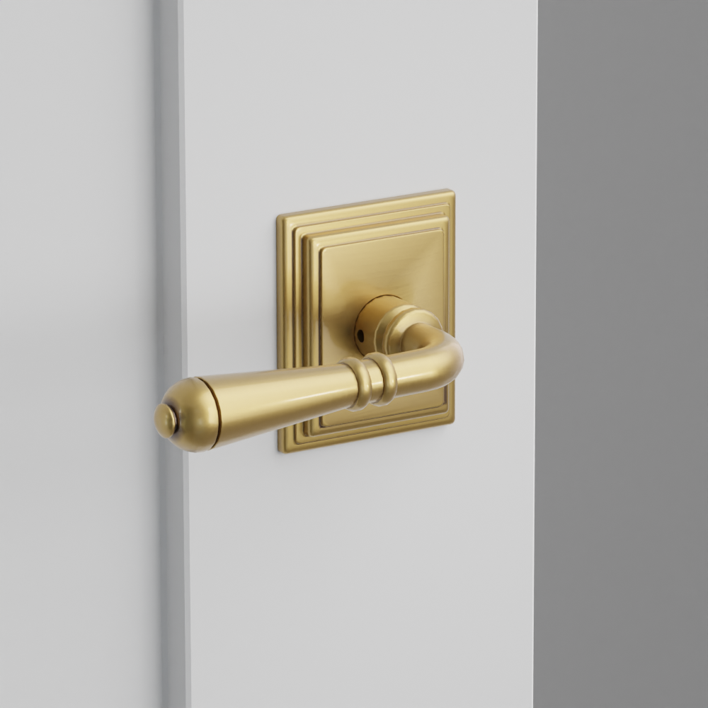 Exterior render - cgrender/InteriorPassagePrivacyDummy/default/h.lever_T.finish_US7/r.rosette_dummy_8561.finish_US7.png