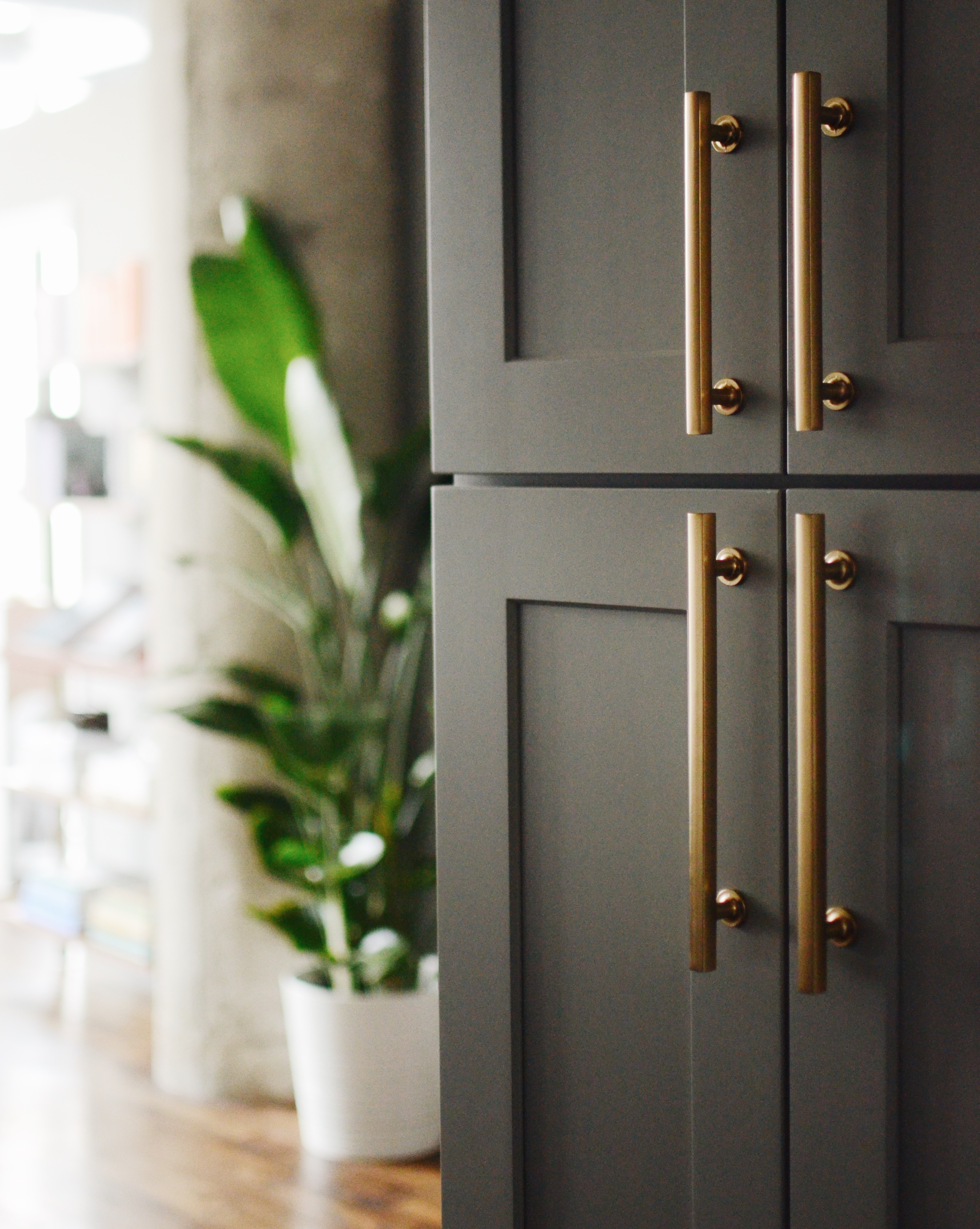 Freestone Cabinet Pull | Emtek
