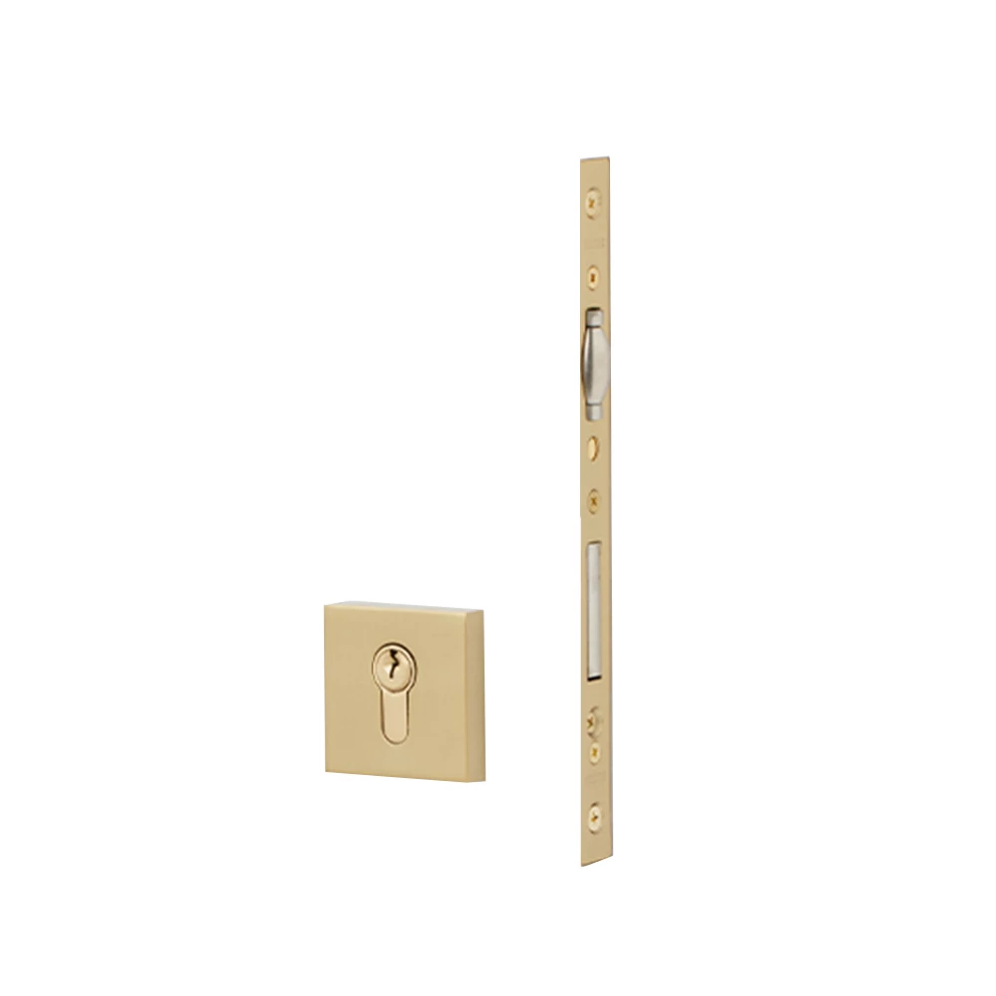 European Mortise Deadbolt with Integrated Roller Latch